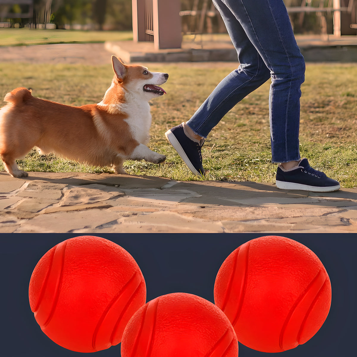Lot de 3 balles rebondissantes en TPR pour chien, S, M ou L