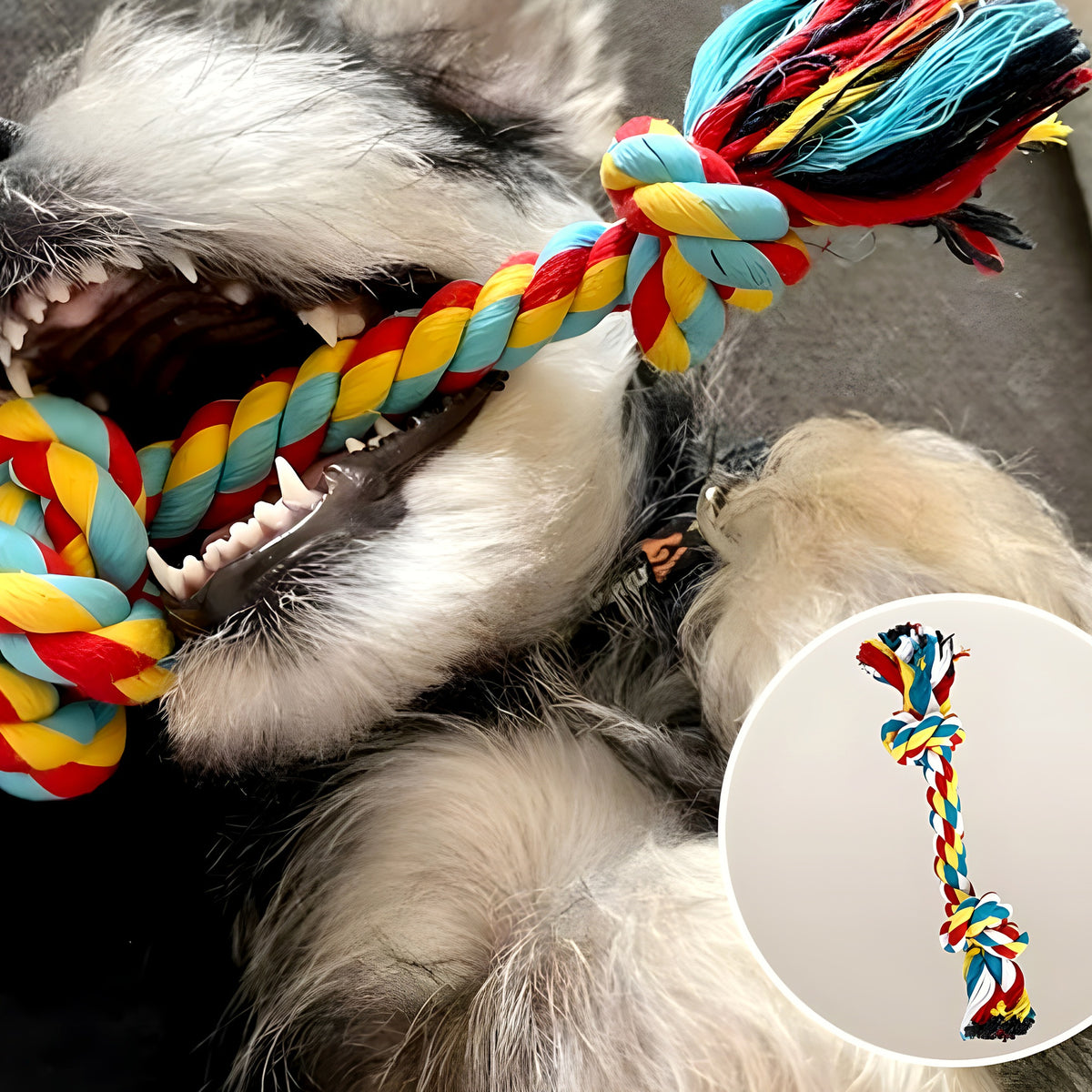Lot de 3 jouets en corde de lin pour chiot