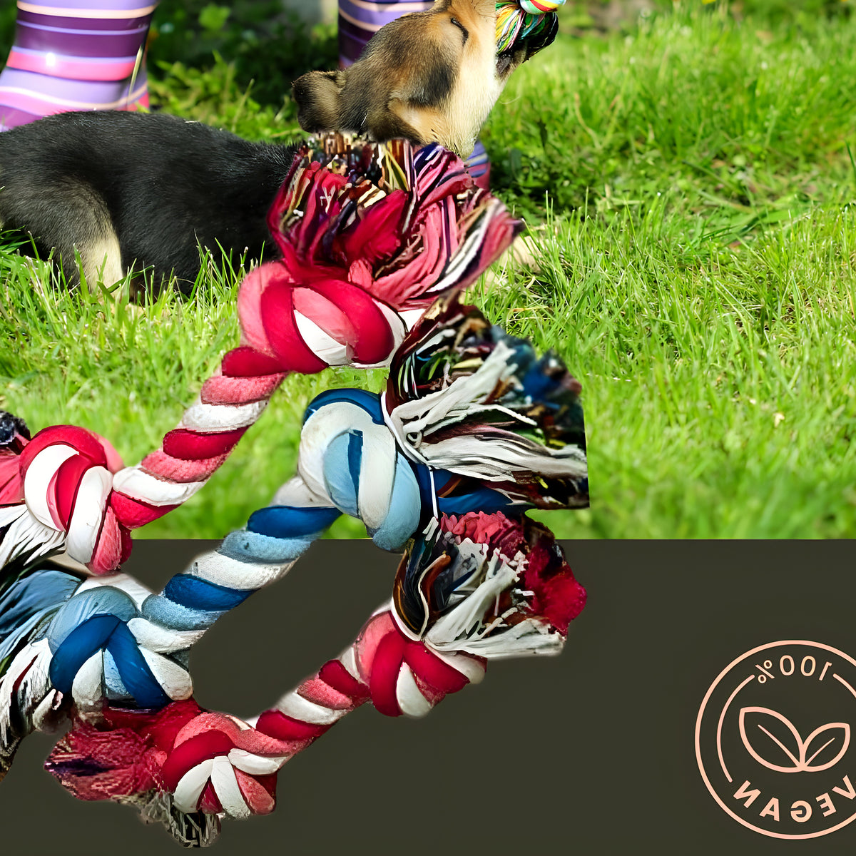 Lot de 3 jouets en corde de lin pour chiot