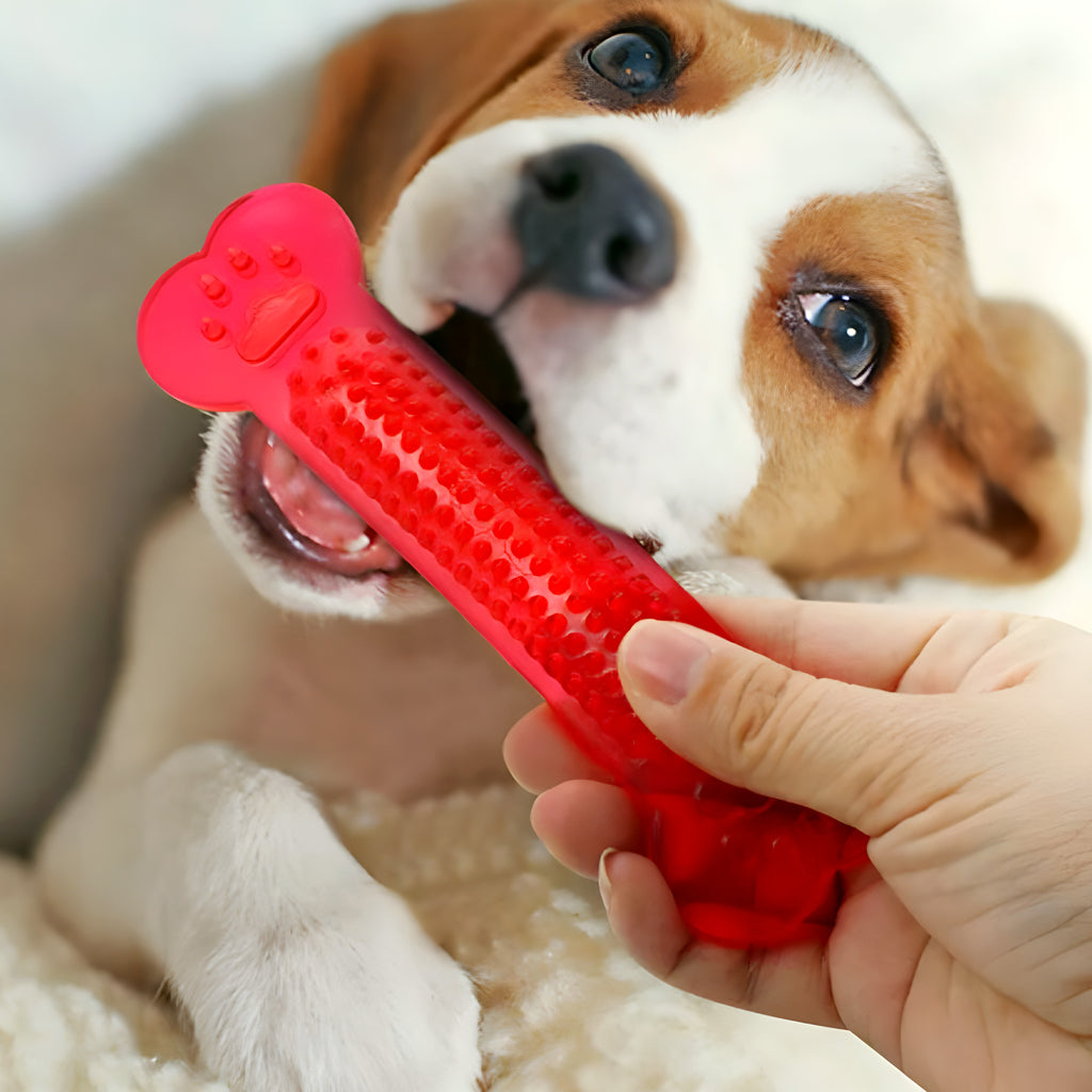 Lot de 4 os à mâcher en caoutchouc pour chiot