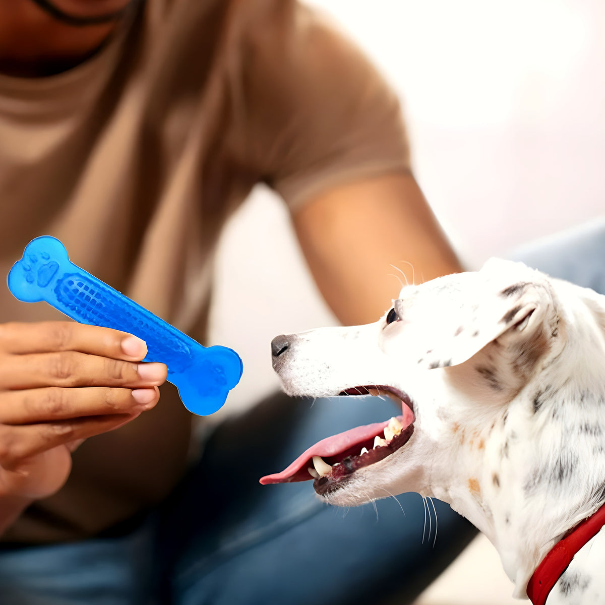 Lot de 4 os à mâcher en caoutchouc pour chiot