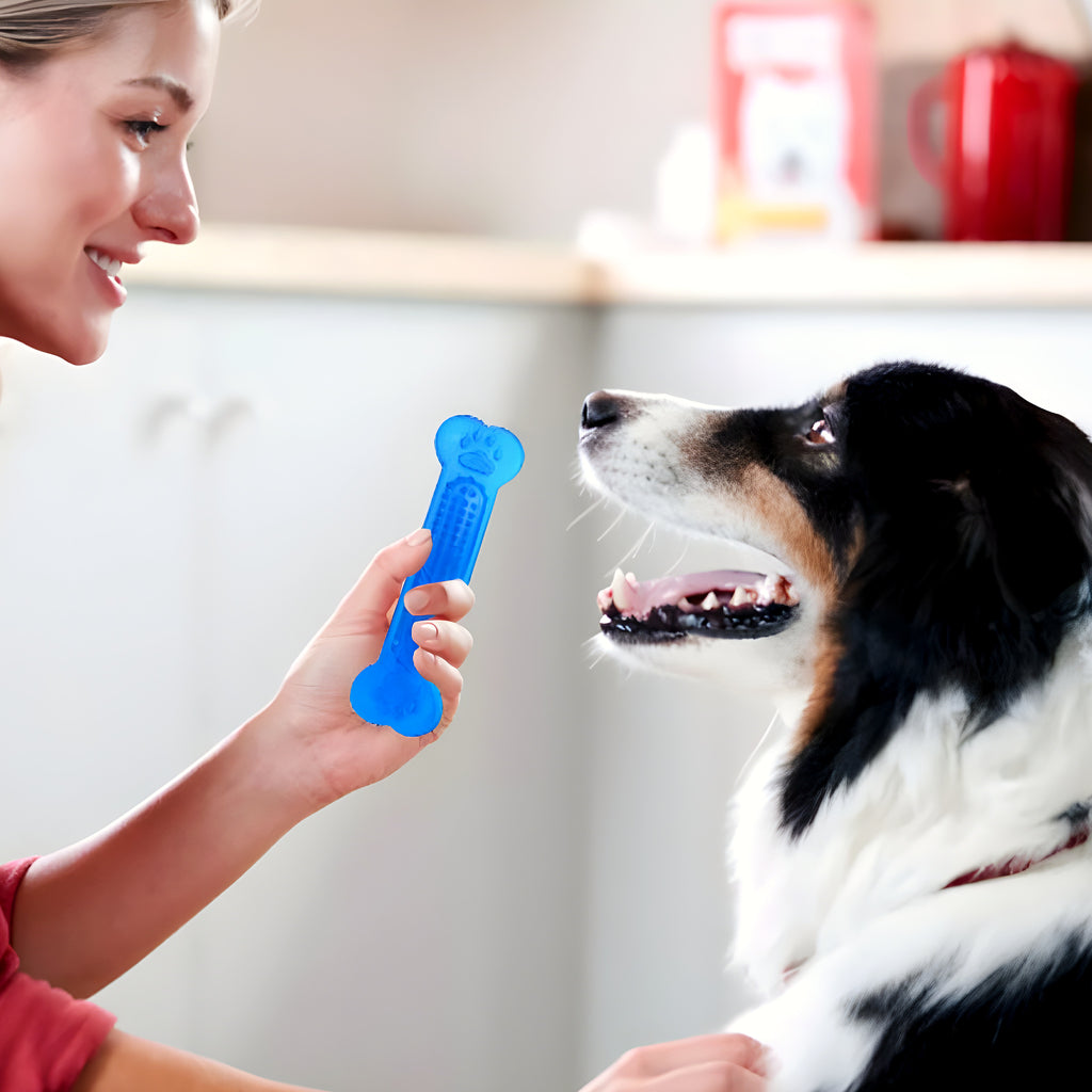 Lot de 4 os à mâcher en caoutchouc pour chiot
