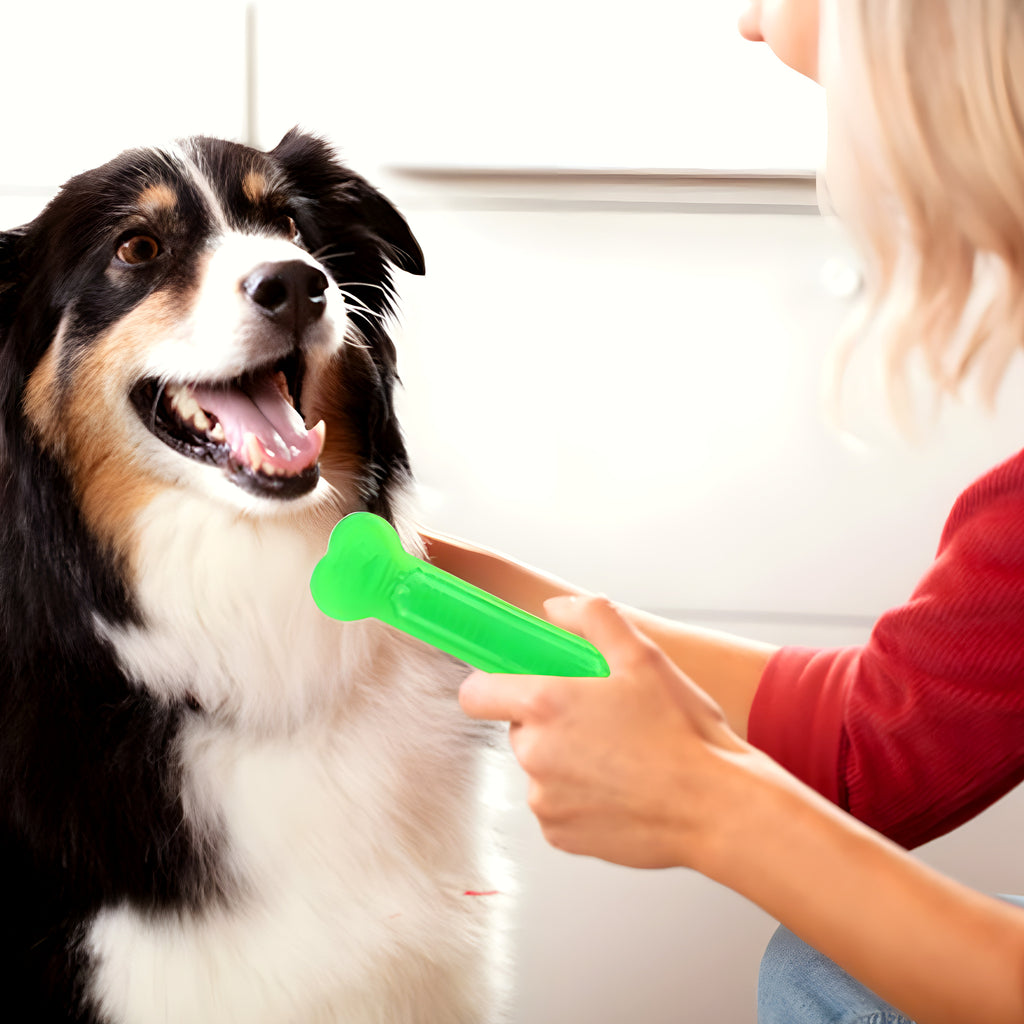 Lot de 4 os à mâcher en caoutchouc pour chiot