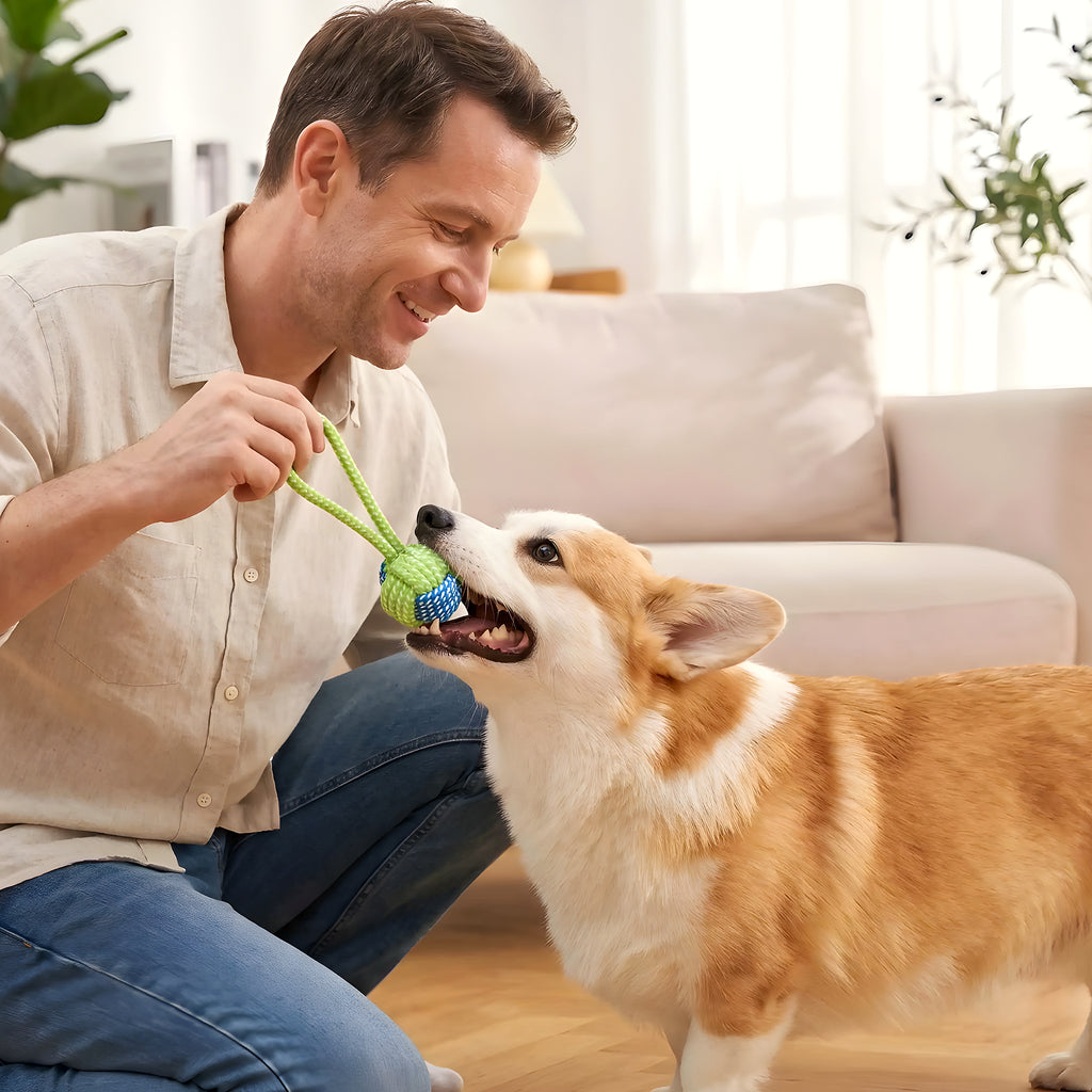 Lot de balles et jouets à mâcher en corde pour chien