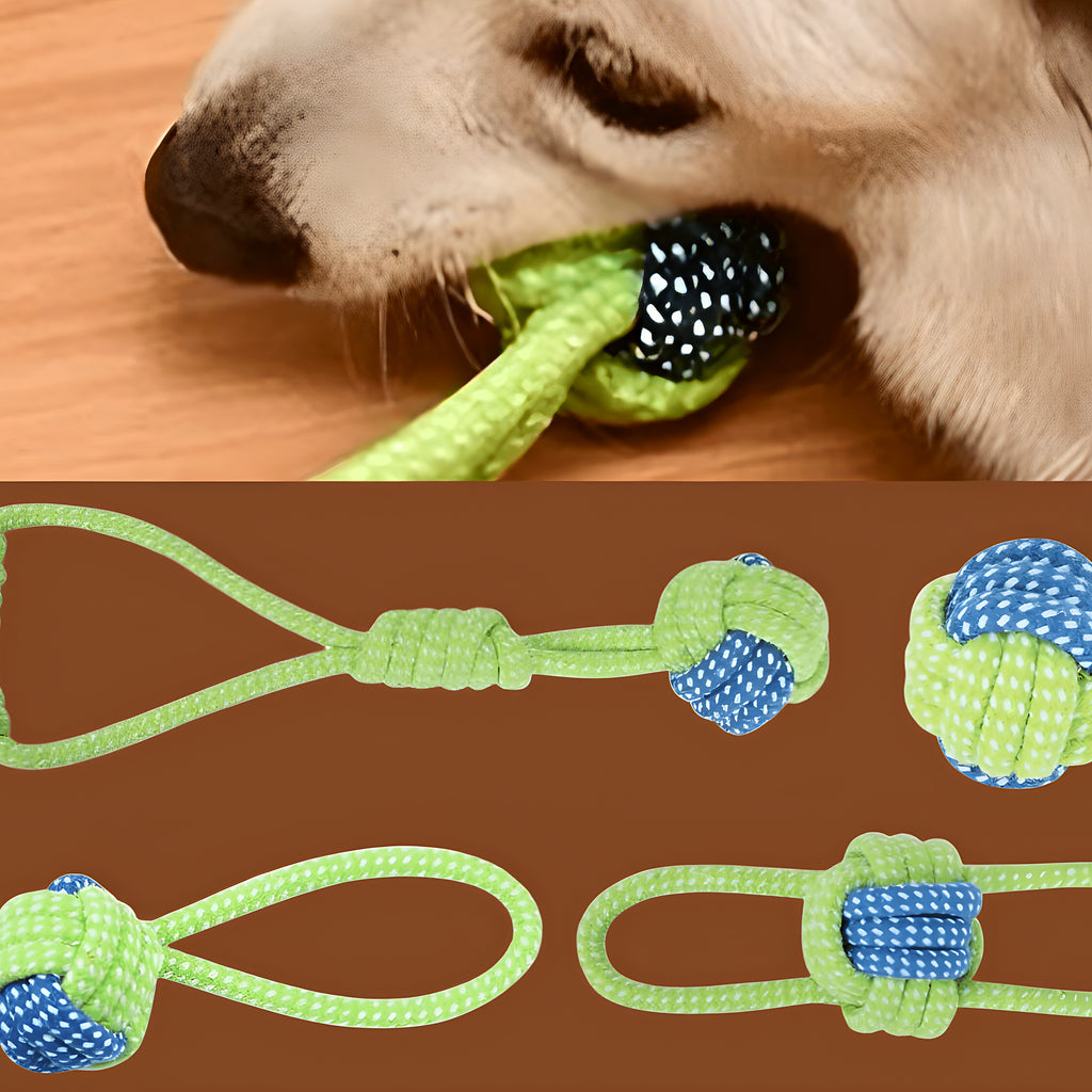 Lot de balles et jouets à mâcher en corde pour chien