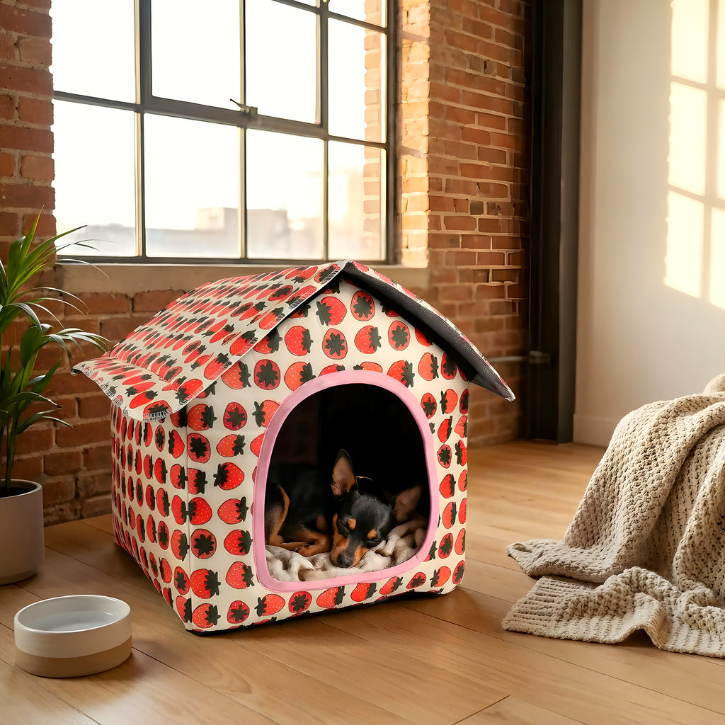 Maison imperméable en Oxford et velours pour mini chien