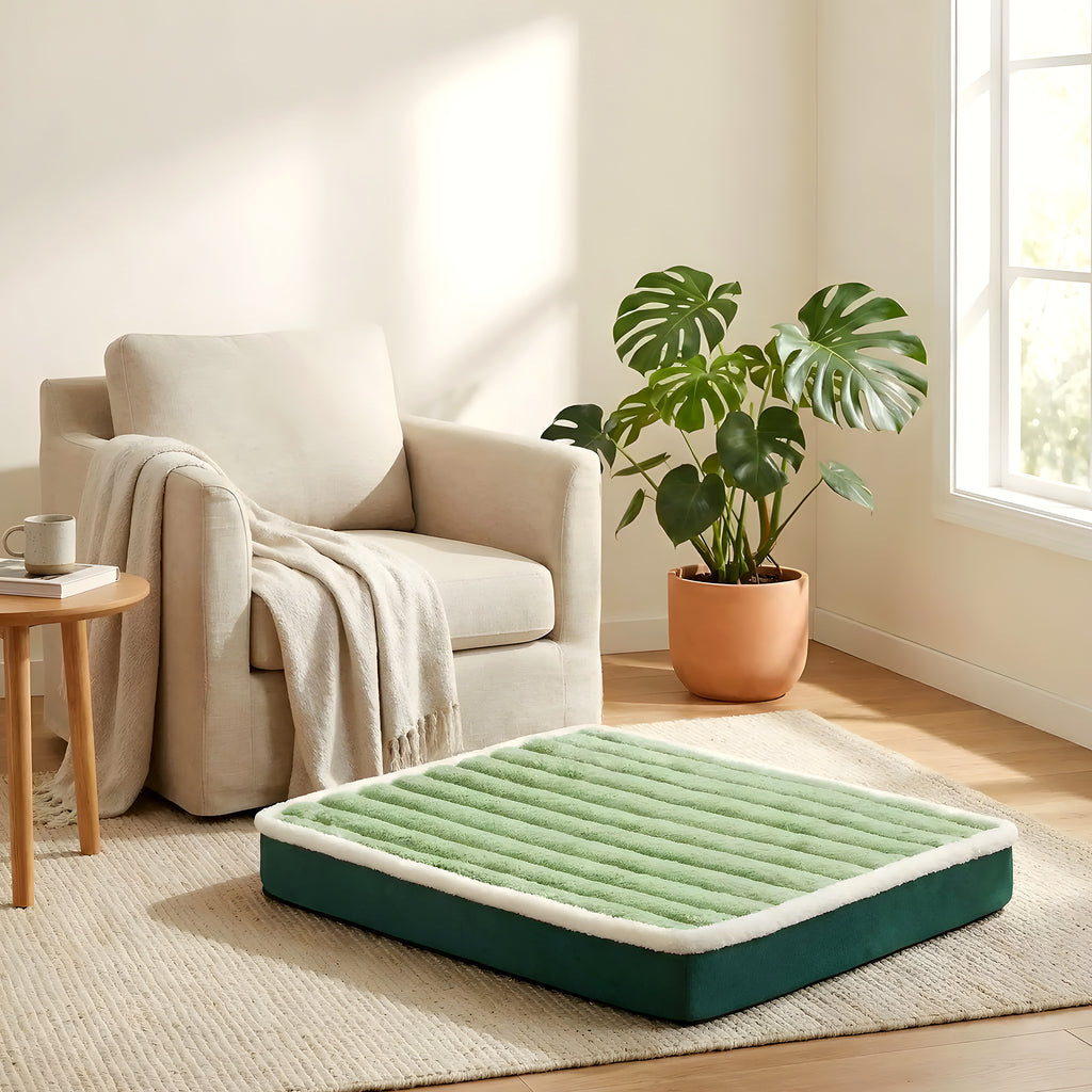 Matelas orthopédique en mousse d'œuf pour petit chien