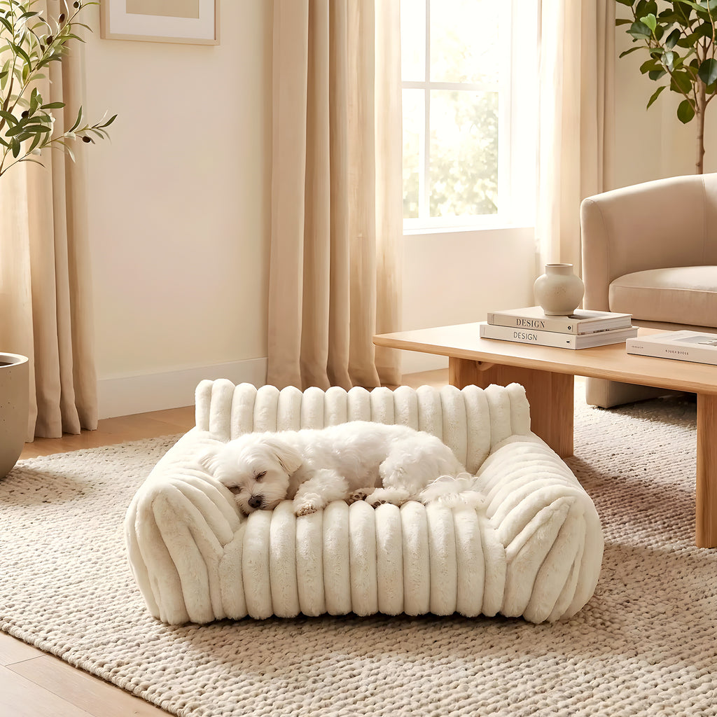 Mini canapé déhoussable pour petit chien