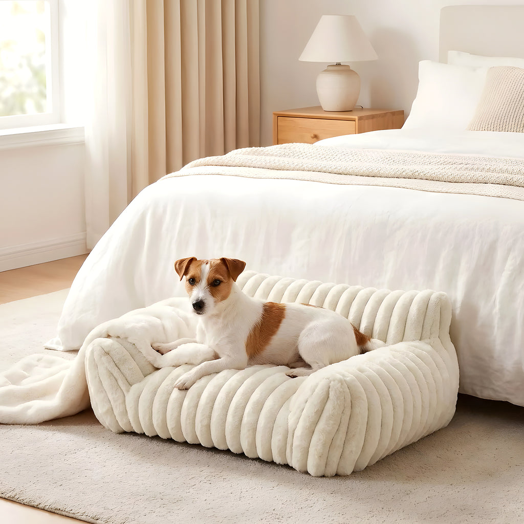 Mini canapé déhoussable pour petit chien