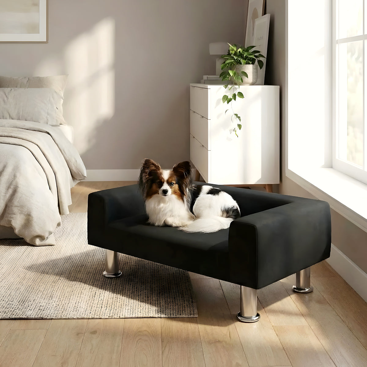 Mini canapé design noir en velours pour petit chien