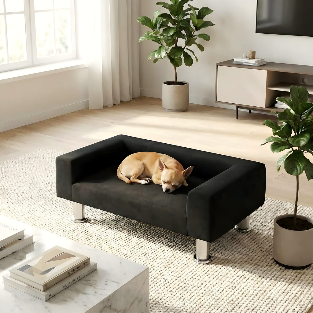 Mini canapé design noir en velours pour petit chien