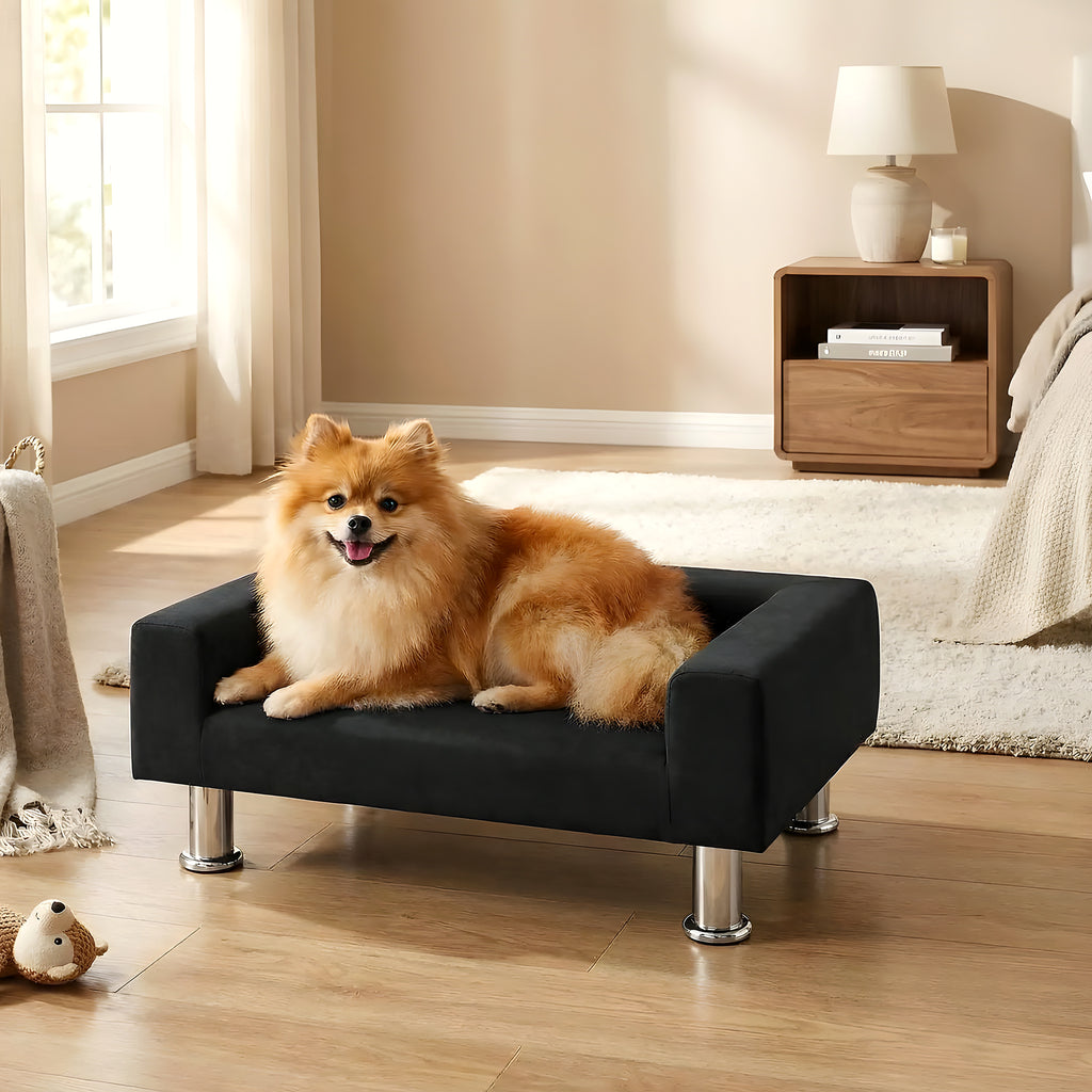 Mini canapé design noir en velours pour petit chien