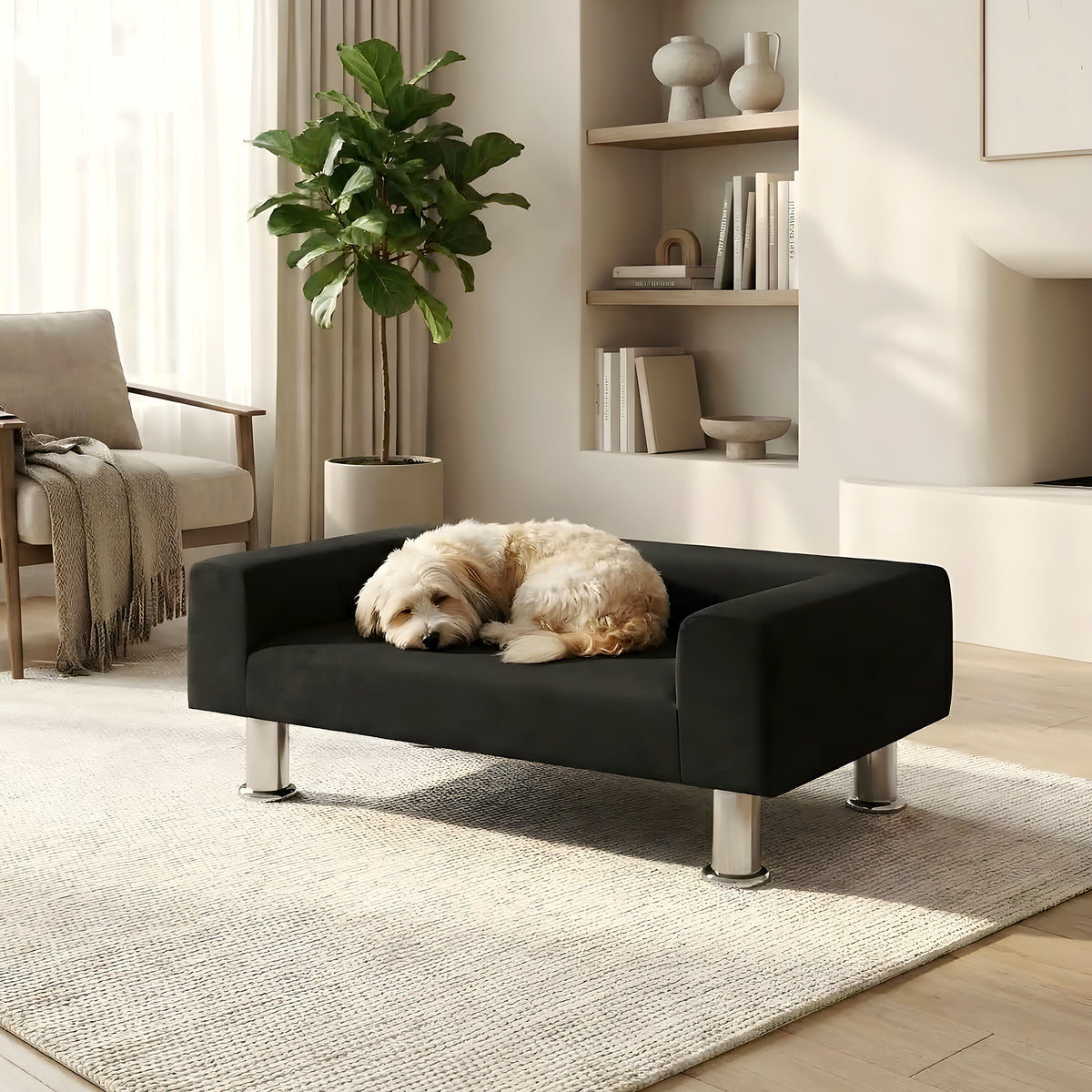 Mini canapé design noir en velours pour petit chien