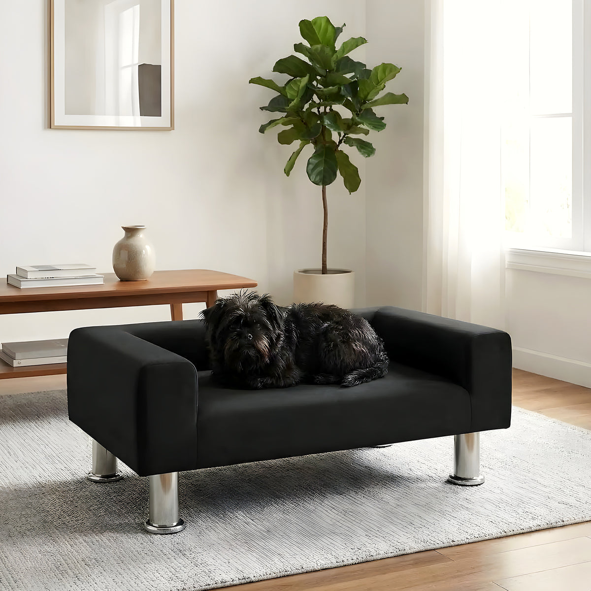 Mini canapé design noir en velours pour petit chien