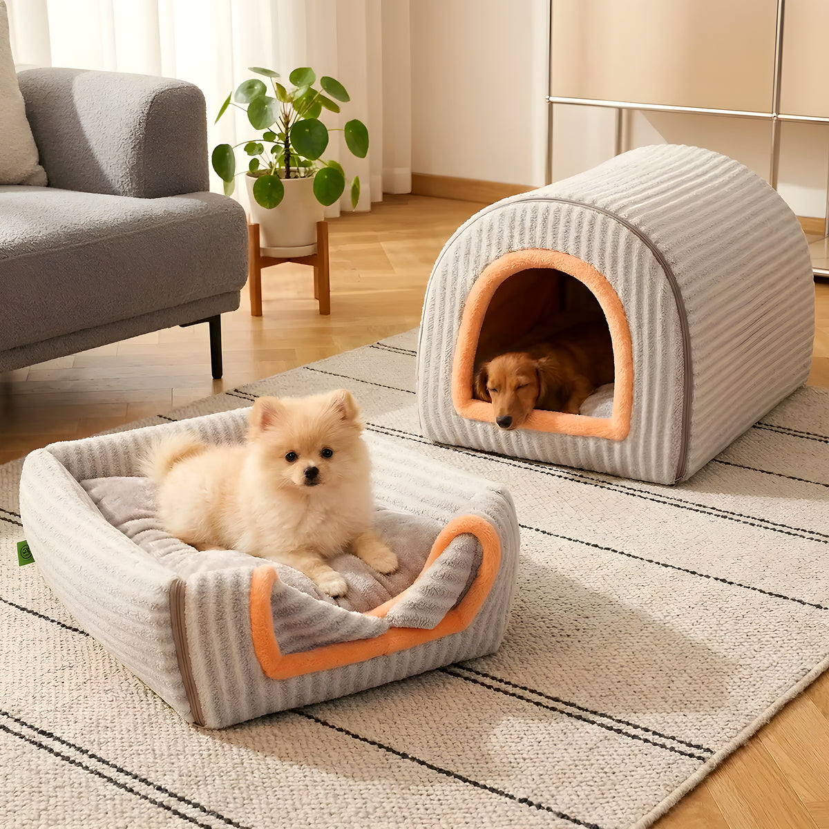 Niche 2-en-1 avec rideaux pour petit chien