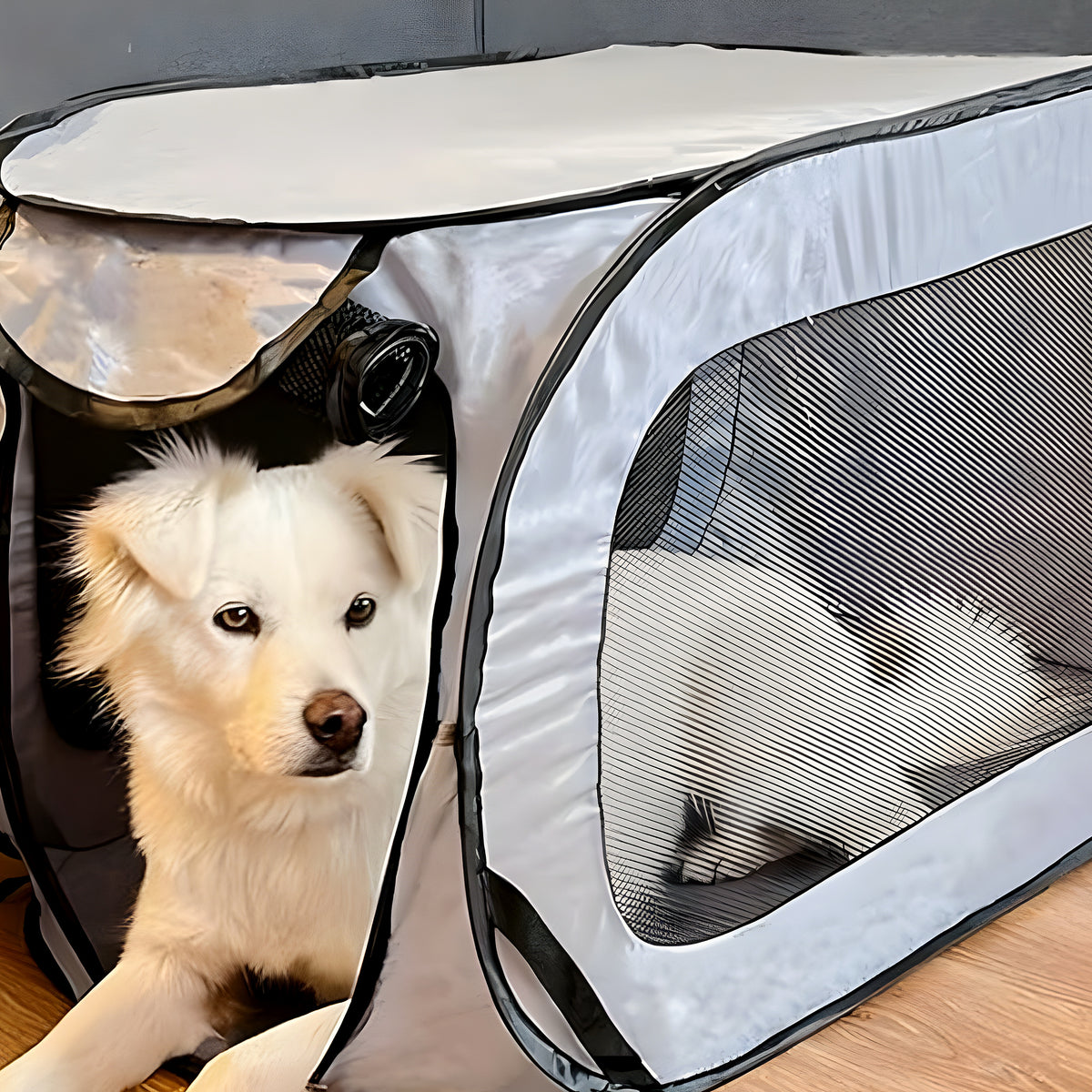 Niche pliable ventilée de voyage pour chien