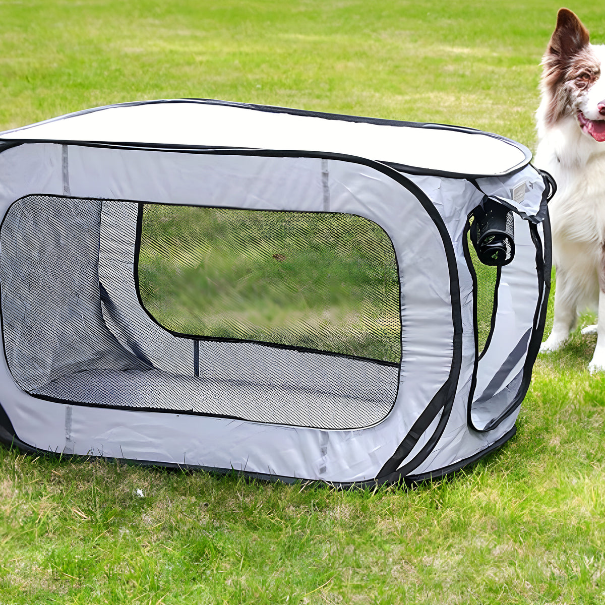 Niche pliable ventilée de voyage pour chien
