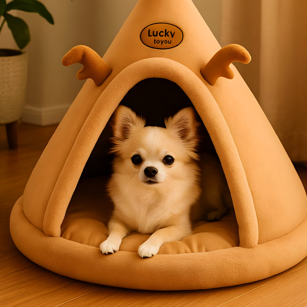 Niche tipi 100 % coton résistante aux griffures