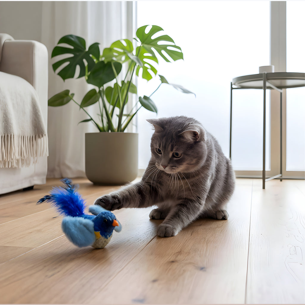 Oiseau jouet sonore pour chat