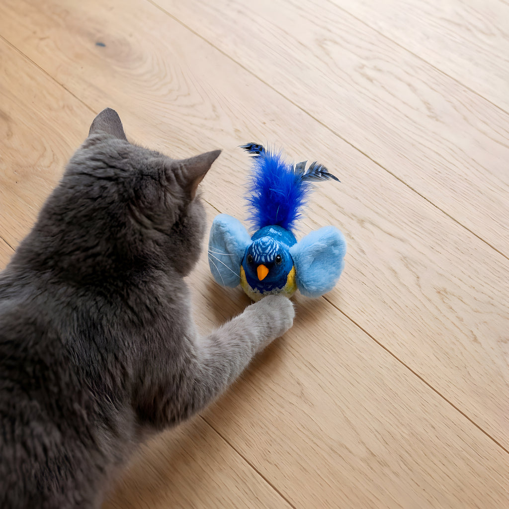 Oiseau jouet sonore pour chat