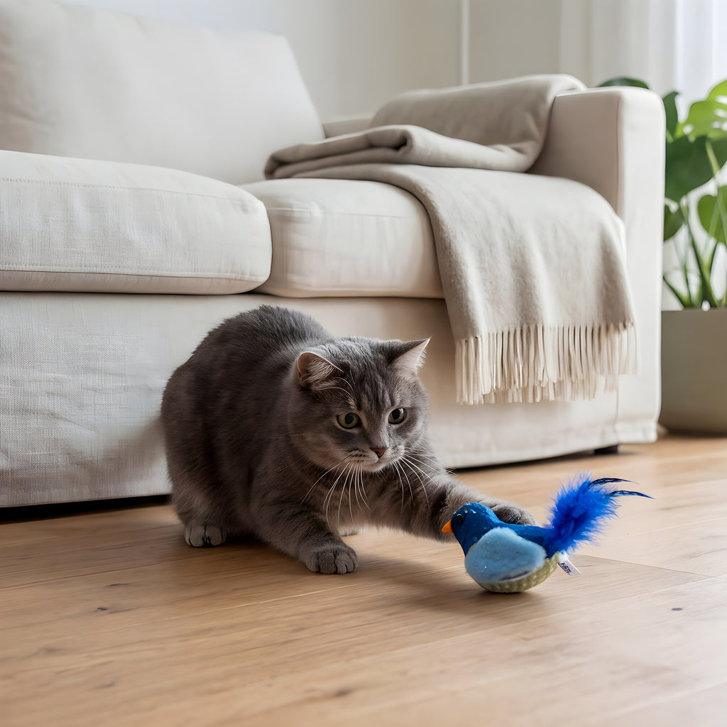 Oiseau jouet sonore pour chat
