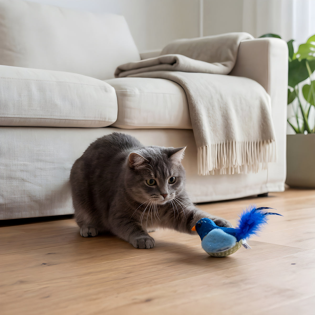 Oiseau jouet sonore pour chat