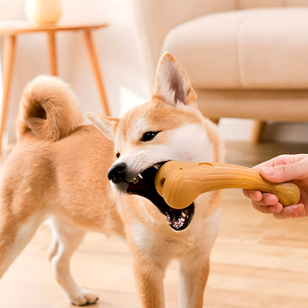 Os ou bois de cerf à mâcher pour chien destructeur