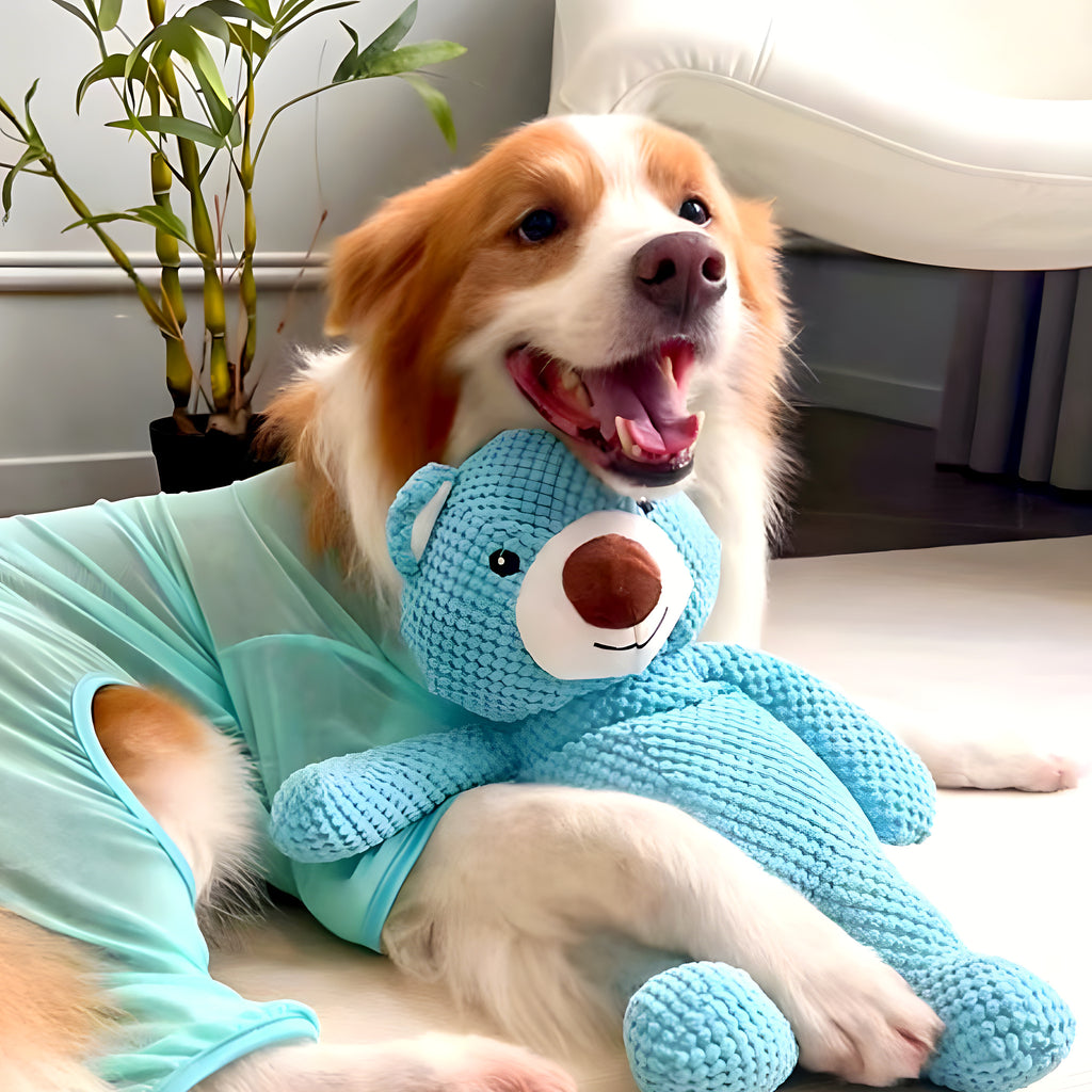 Ours en peluche bleu qui couine pour chien, S ou M