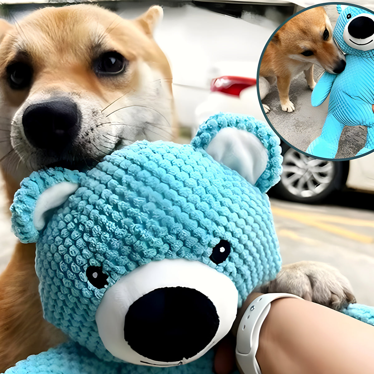 Ours en peluche bleu qui couine pour chien, S ou M