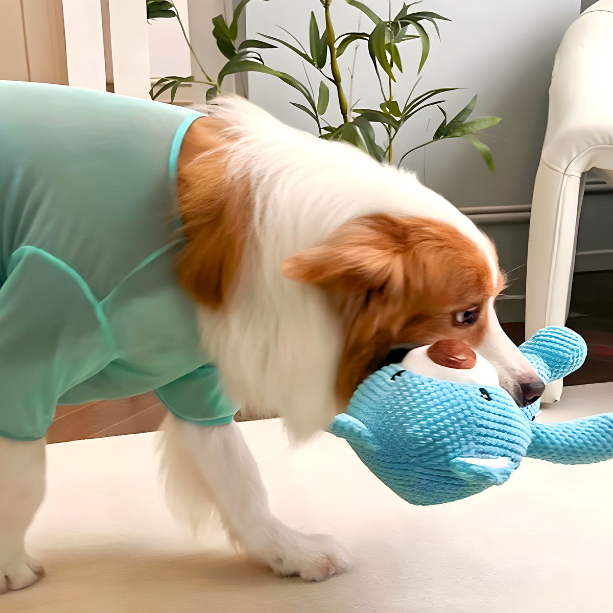 Ours en peluche bleu qui couine pour chien, S ou M