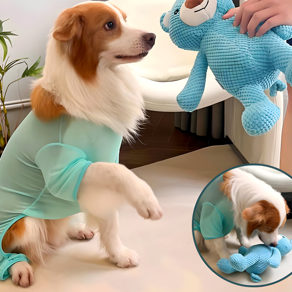 Ours en peluche bleu qui couine pour chien, S ou M