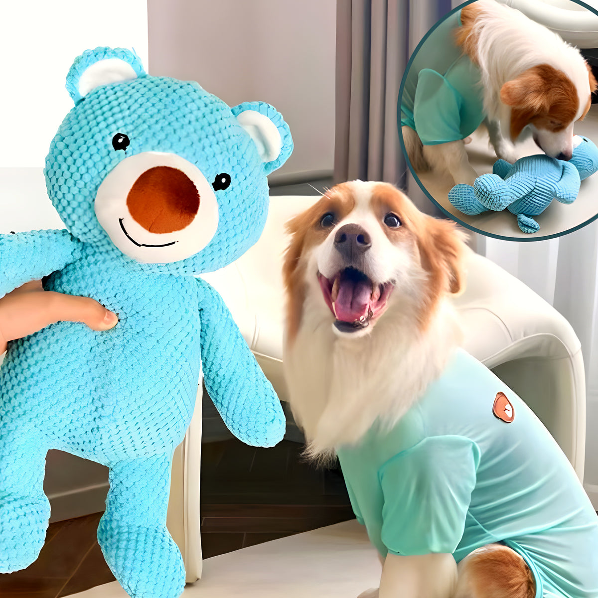 Ours en peluche bleu qui couine pour chien, S ou M