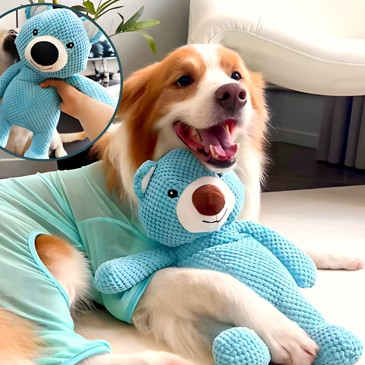 Ours en peluche bleu qui couine pour chien, S ou M