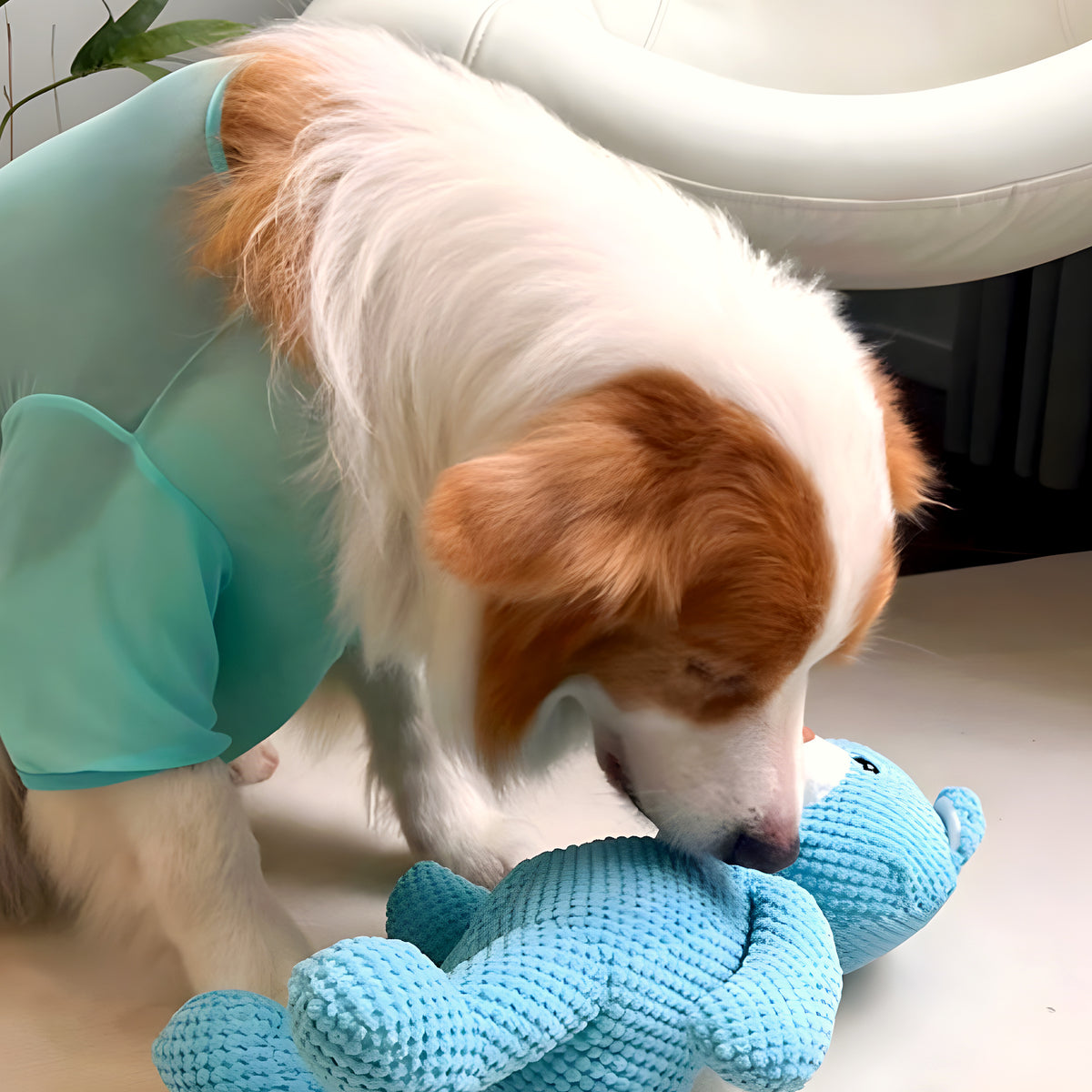 Ours en peluche bleu qui couine pour chien, S ou M