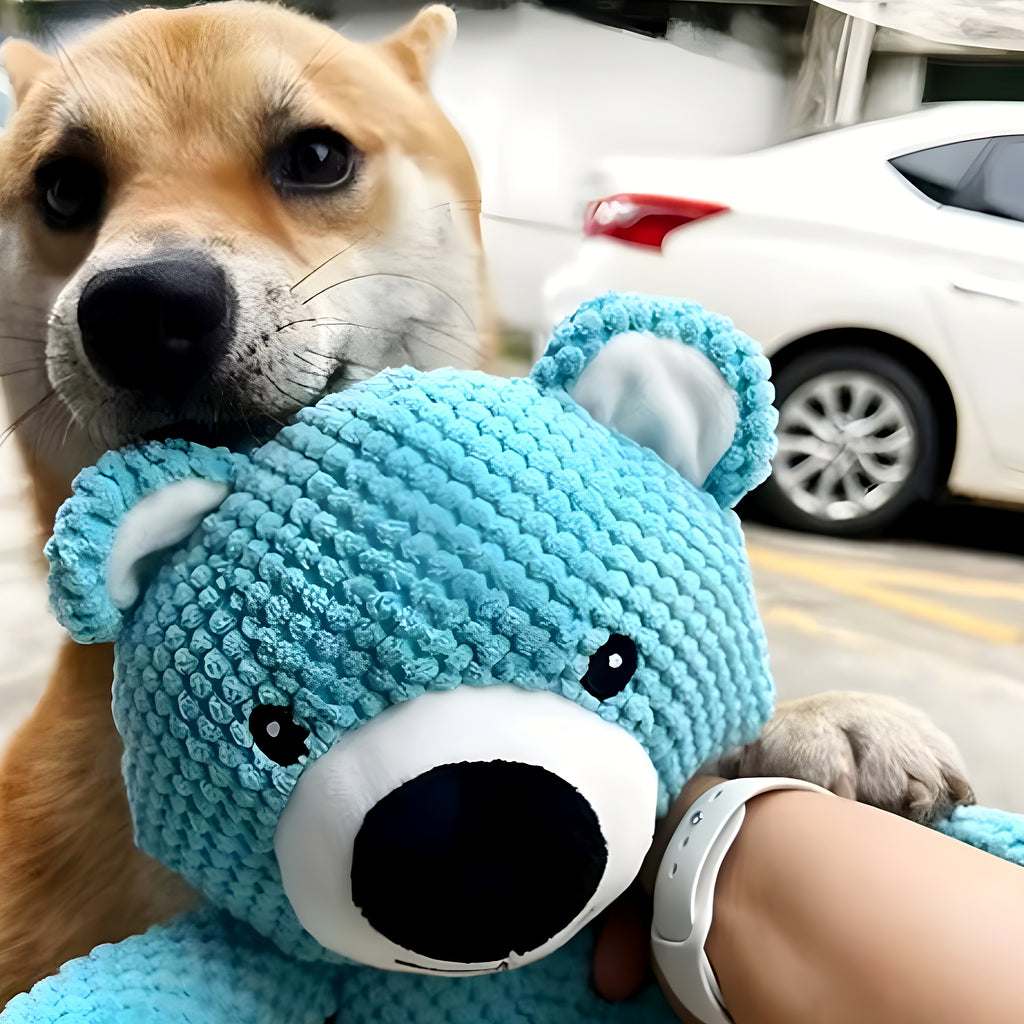 Ours en peluche bleu qui couine pour chien, S ou M