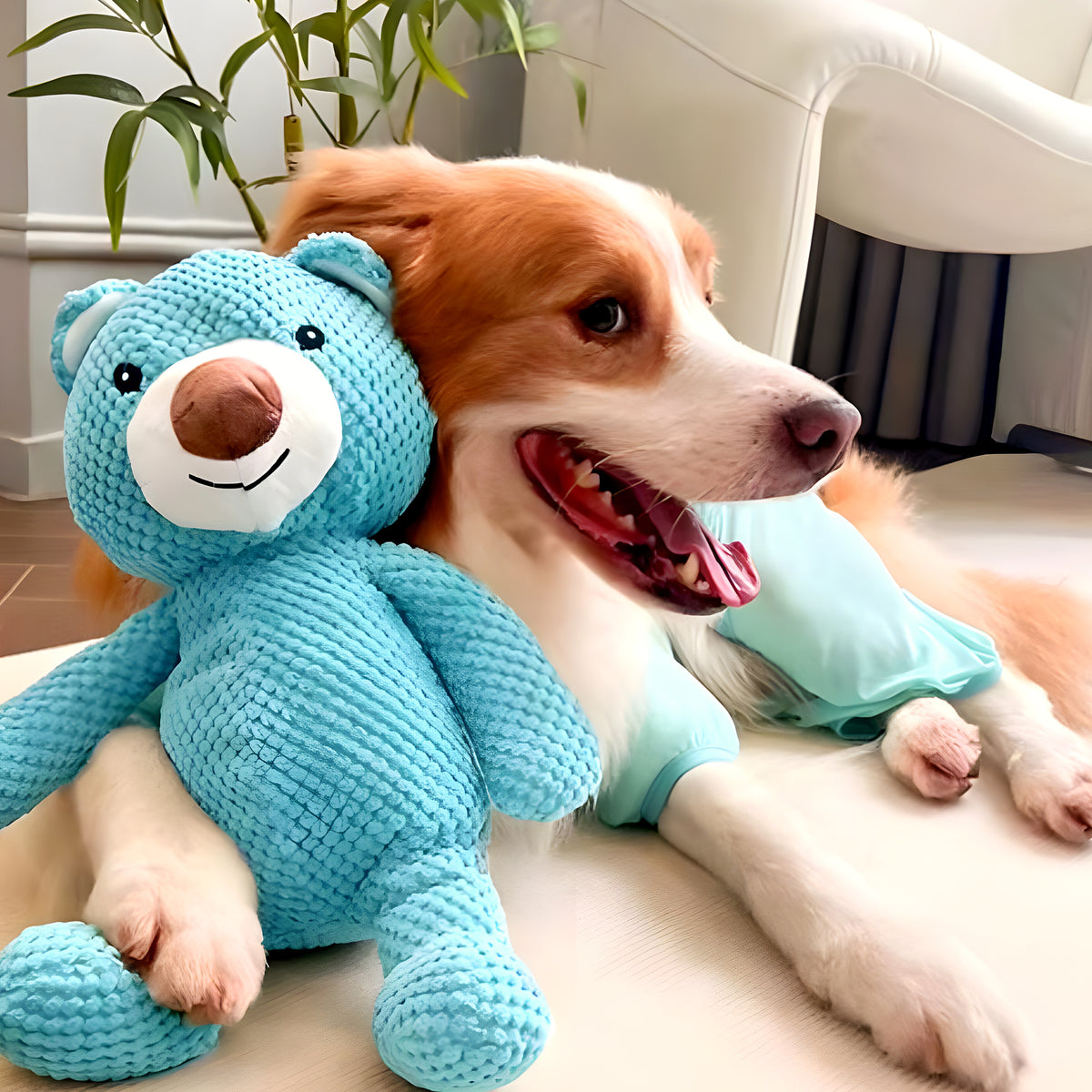 Ours en peluche bleu qui couine pour chien, S ou M