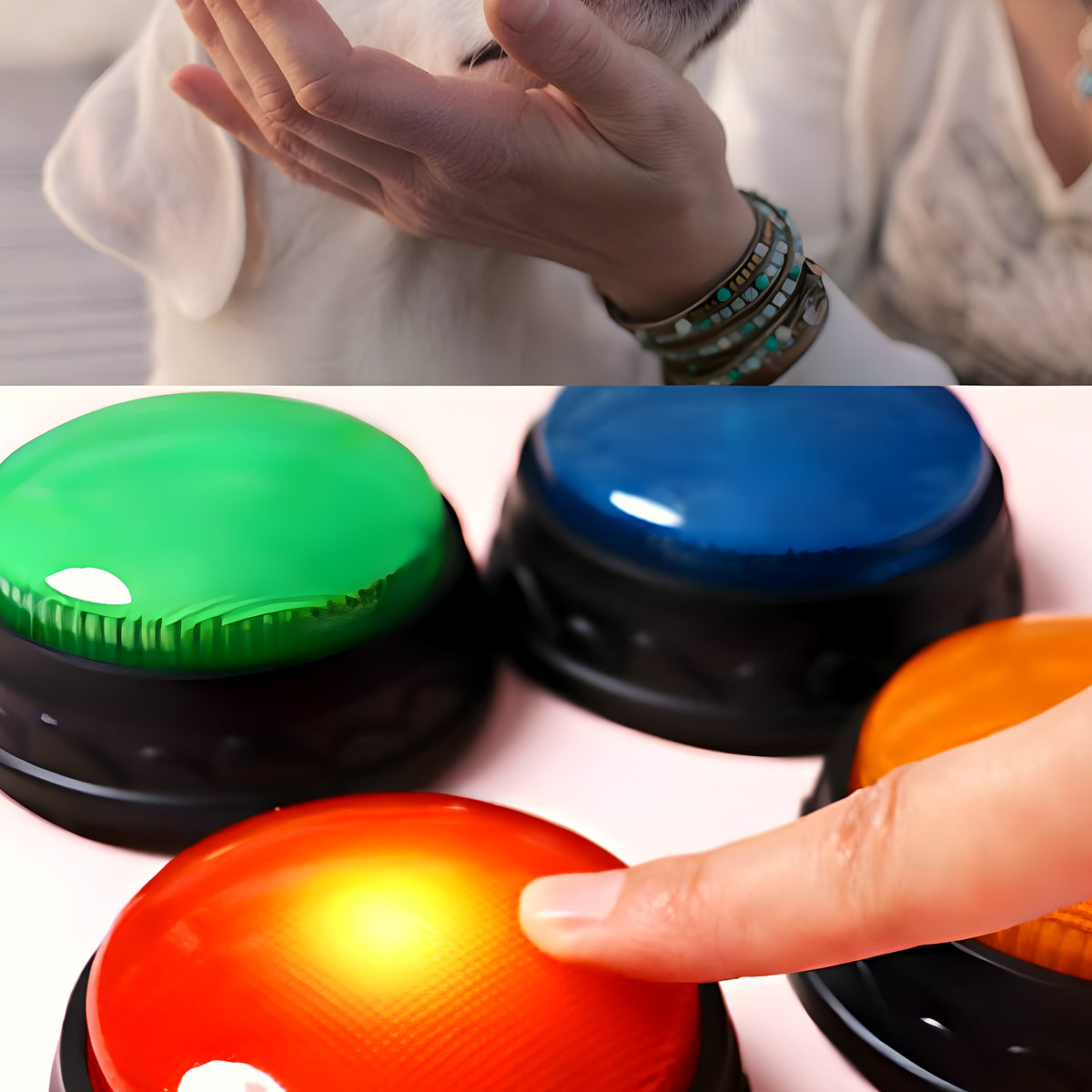 Pack de 4 boutons de communication pour chien