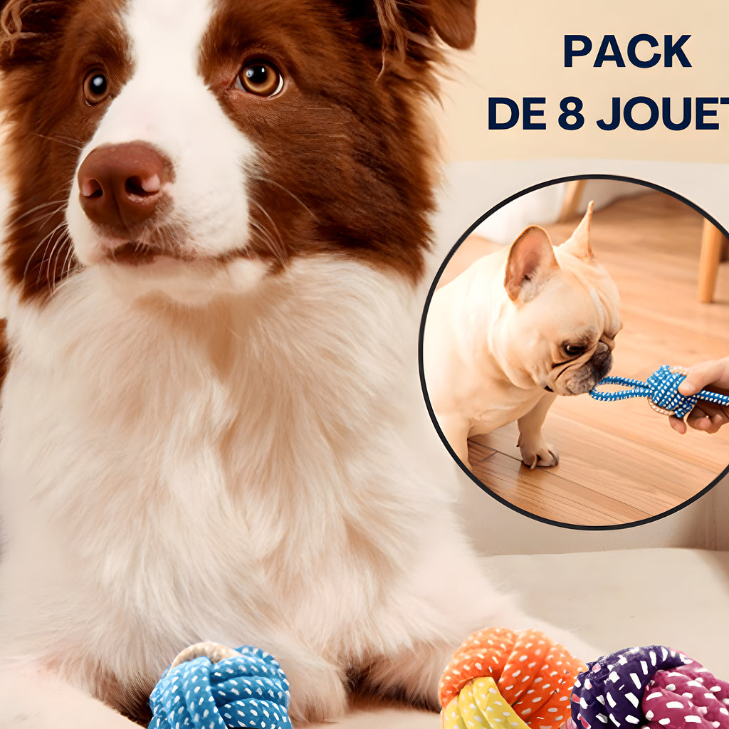 Pack de 8 jouets en corde à mâcher pour chien