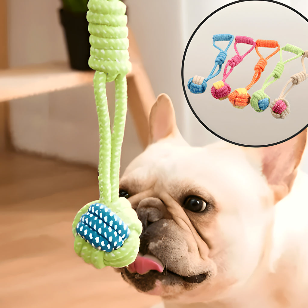 Pack de 8 jouets en corde à mâcher pour chien