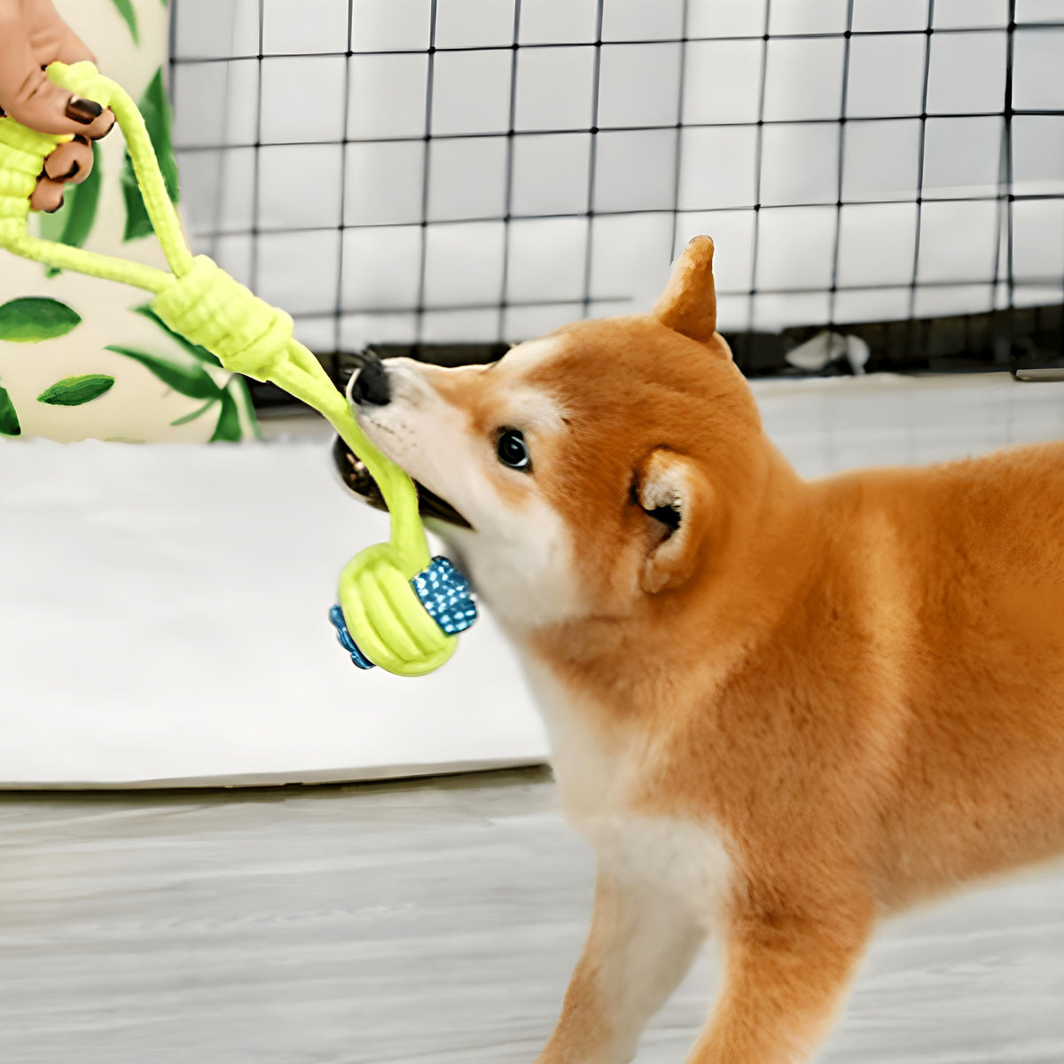 Pack de 8 jouets en corde à mâcher pour chien
