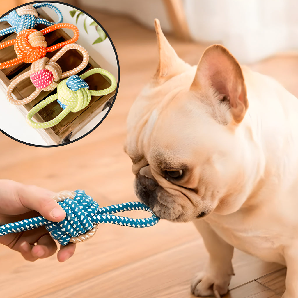 Pack de 8 jouets en corde à mâcher pour chien