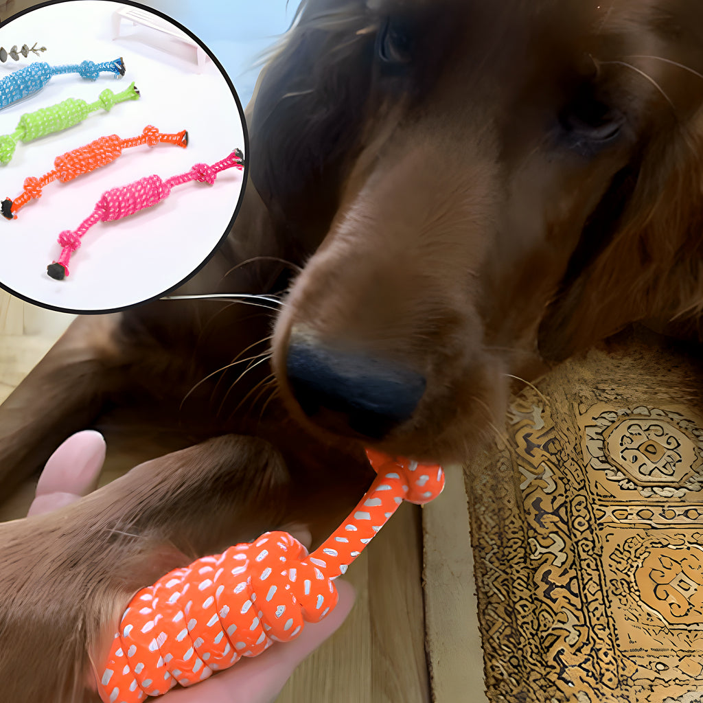 Pack de 8 jouets en corde à mâcher pour chien