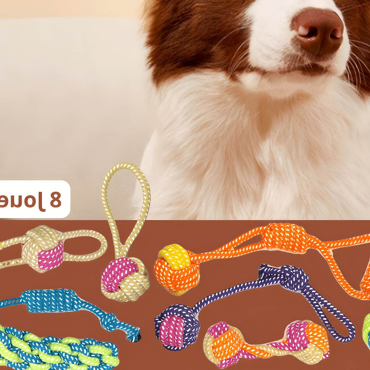 Pack de 8 jouets en corde à mâcher pour chien