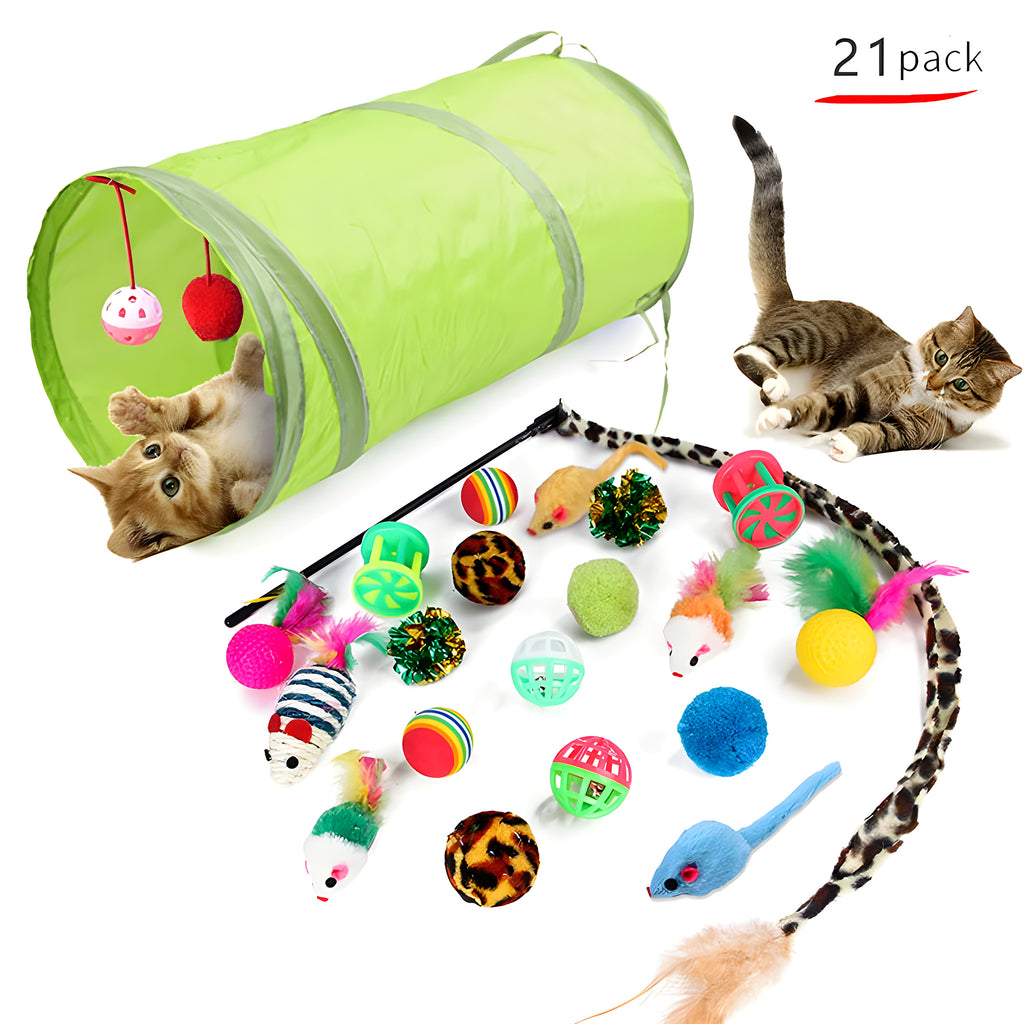 Pack de jouets pour chat