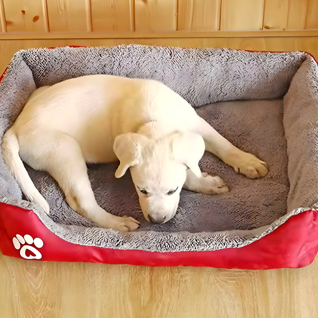 Panier à bords surélevés en coton pour chien, 6 couleurs