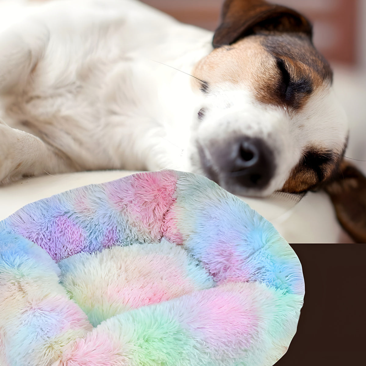 Panier anti-stress pliable en peluche pour chien, XS à L