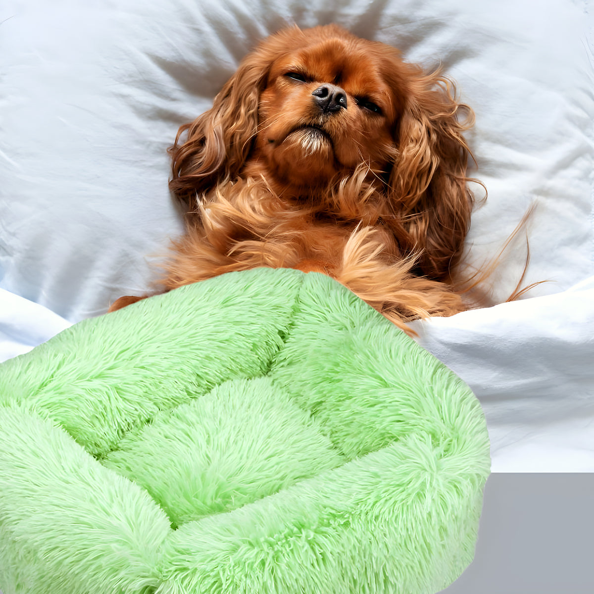 Panier anti-stress pliable en peluche pour chien, XS à L
