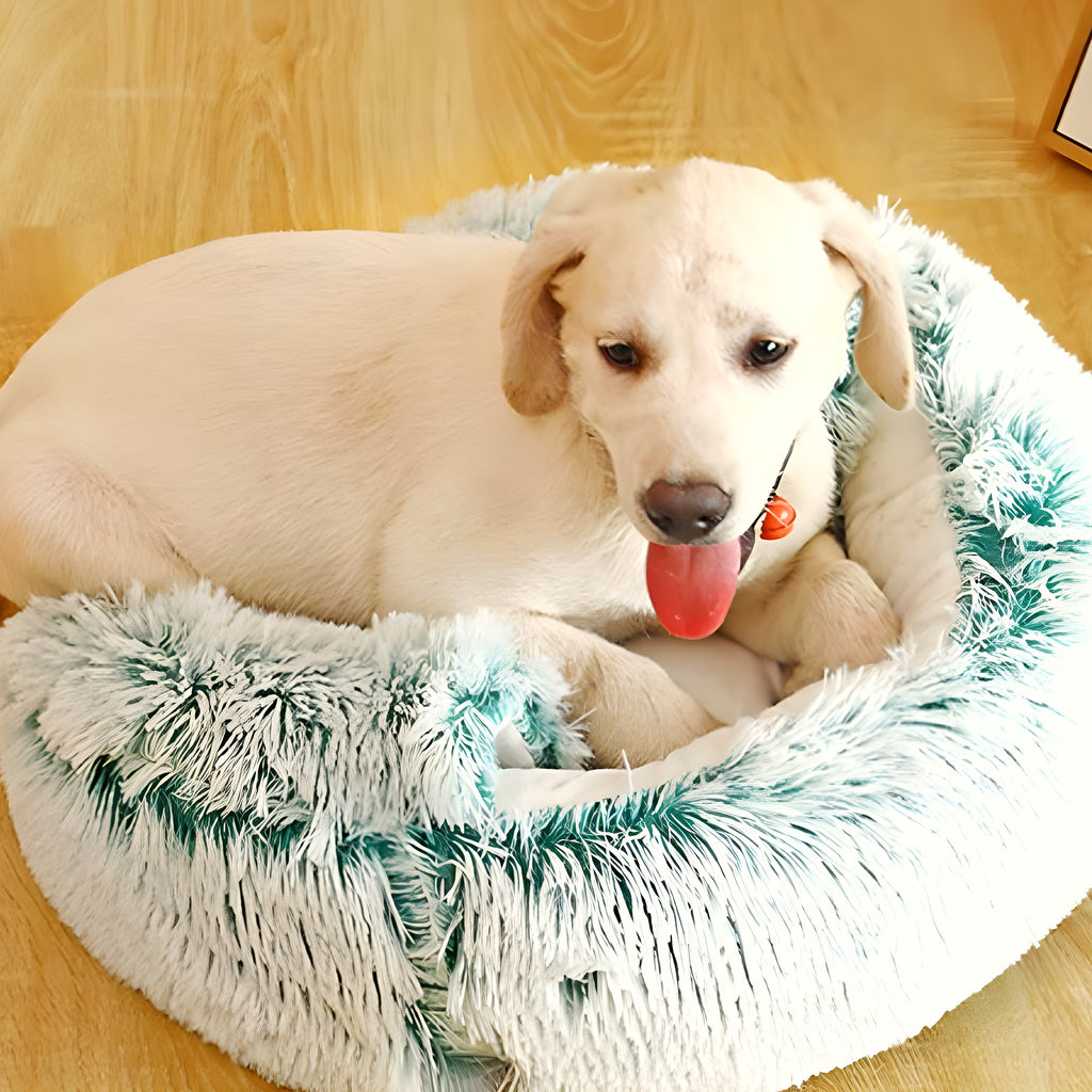 Panier cocon auto-chauffant pour petit chien jusqu'à 2,5 kg