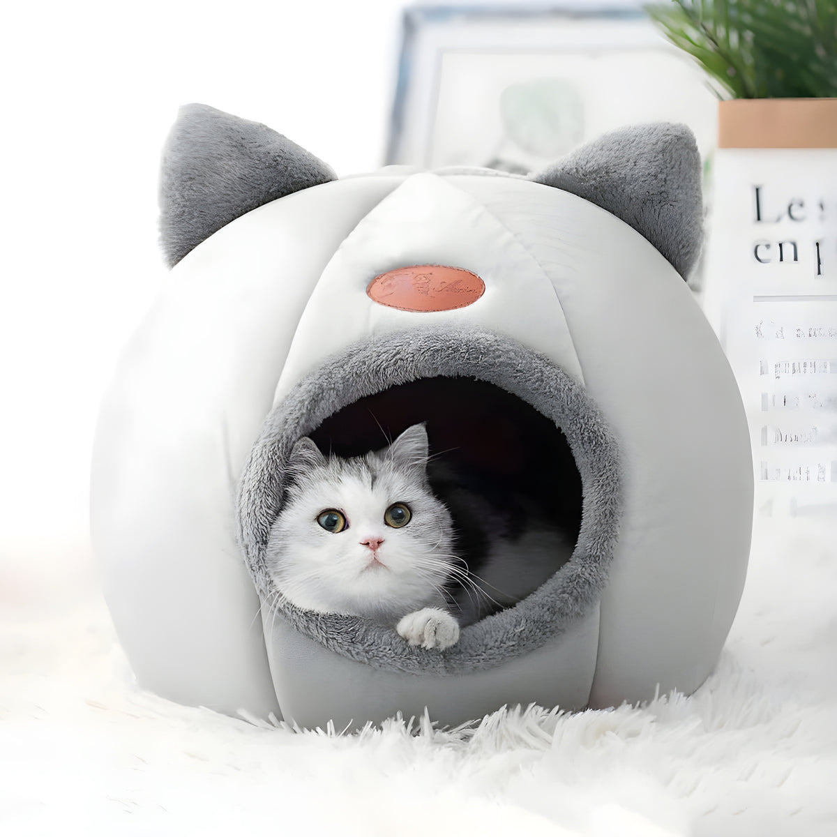 Panier confort pour chat