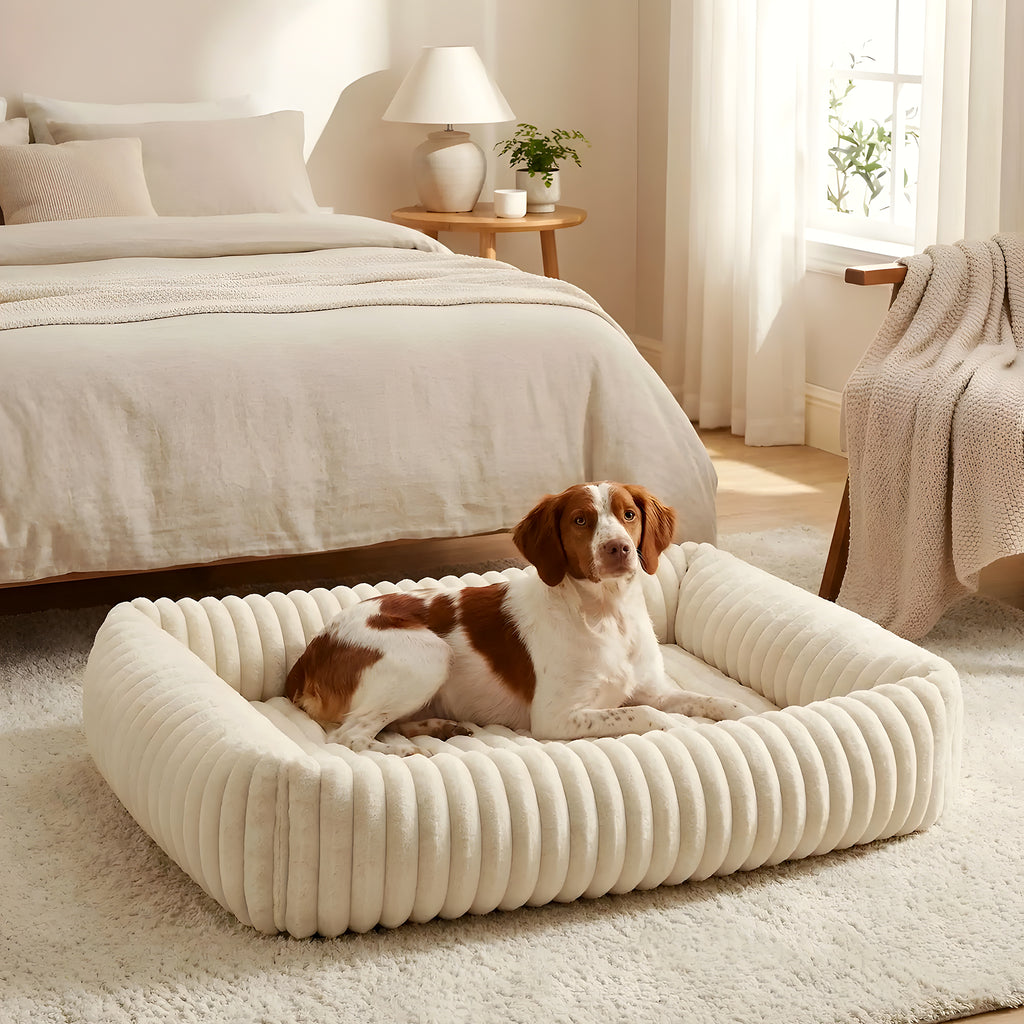 Panier confort rectangulaire en velours côtelé pour chien